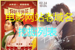 挖掘出的电影网站老域名